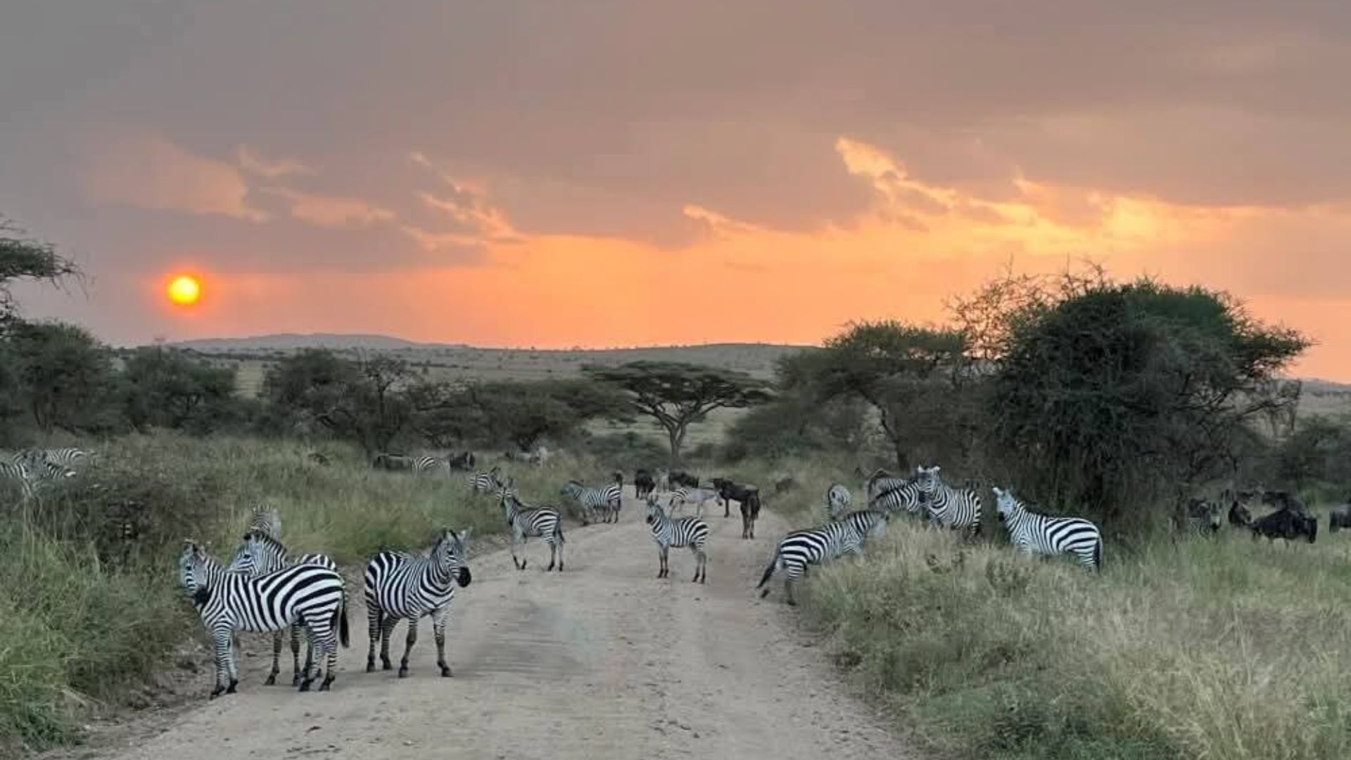 Maasai Village