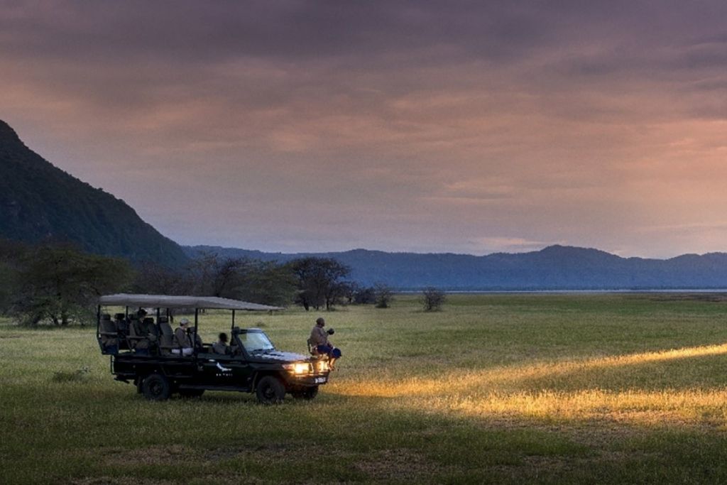 Night Game Drive