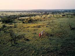 Walking Safari